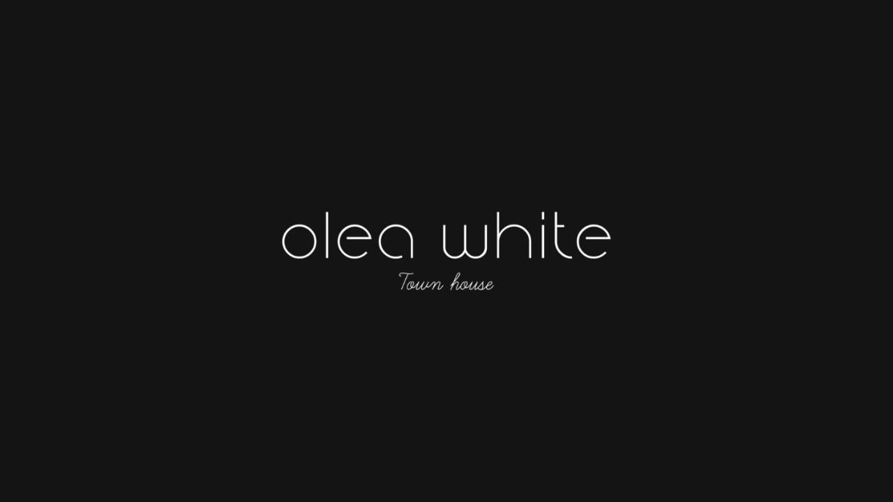 斯基亚索斯镇Olea White别墅 外观 照片