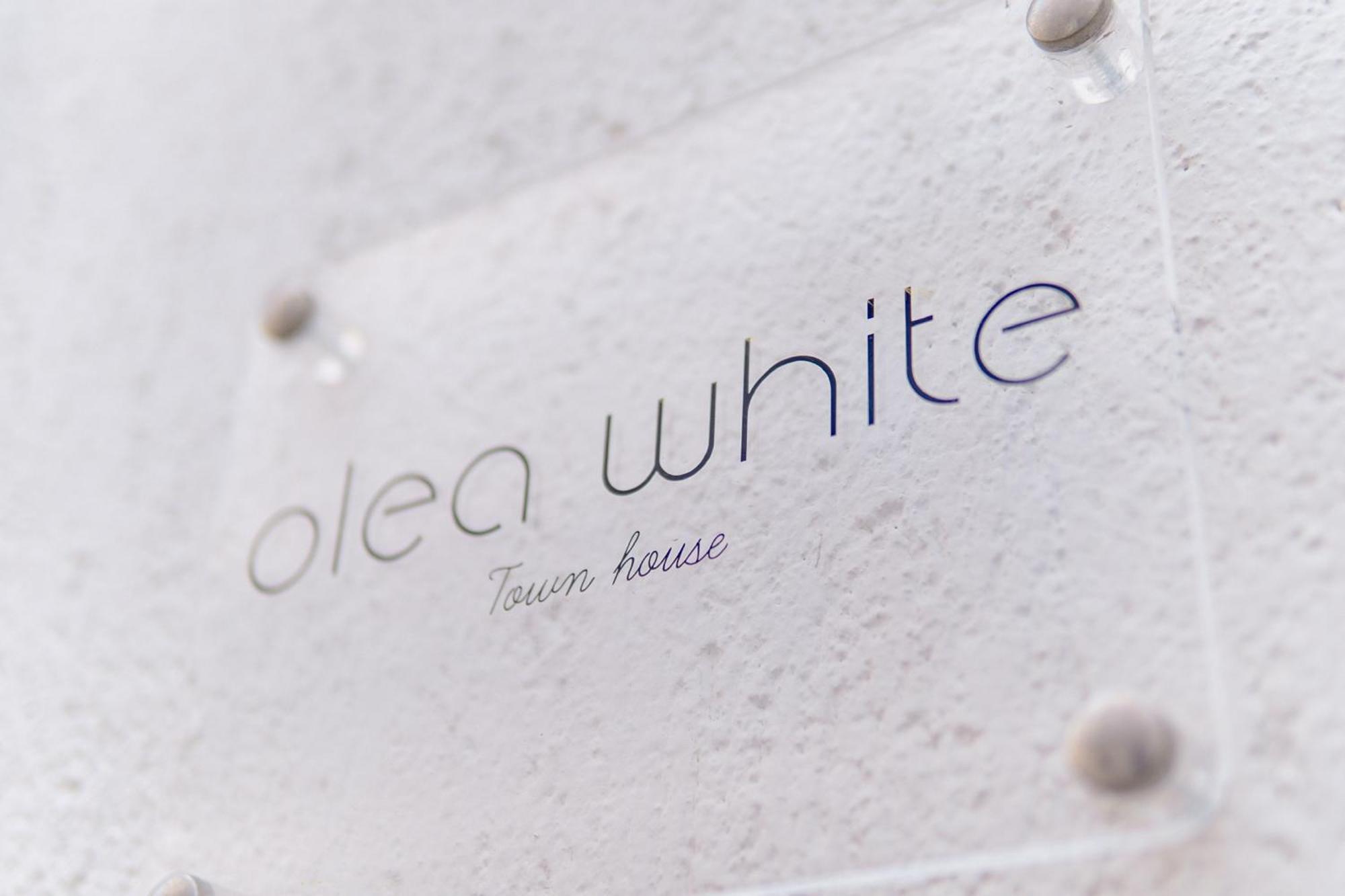 斯基亚索斯镇Olea White别墅 外观 照片